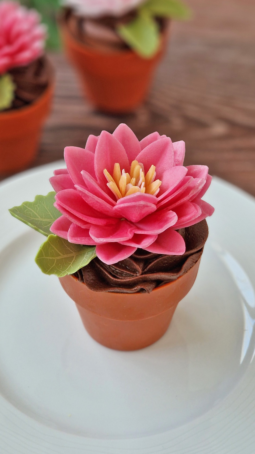 BOX OF 15 WAFER LOTUS FLOWERS 3 COLORS Ø 7CM