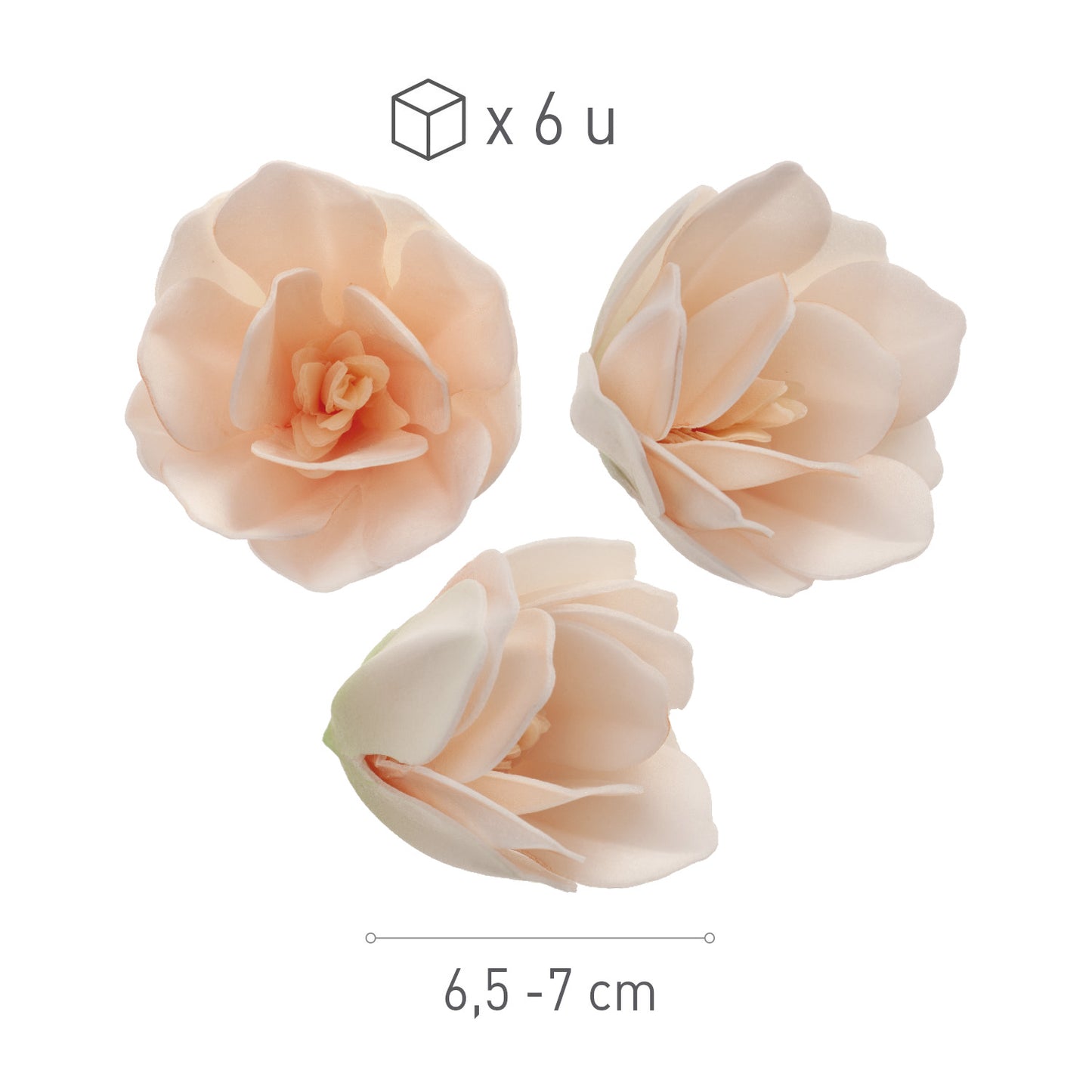 BOX OF 6 WHITE WAFER MAGNOLIAS 6.5-7CM