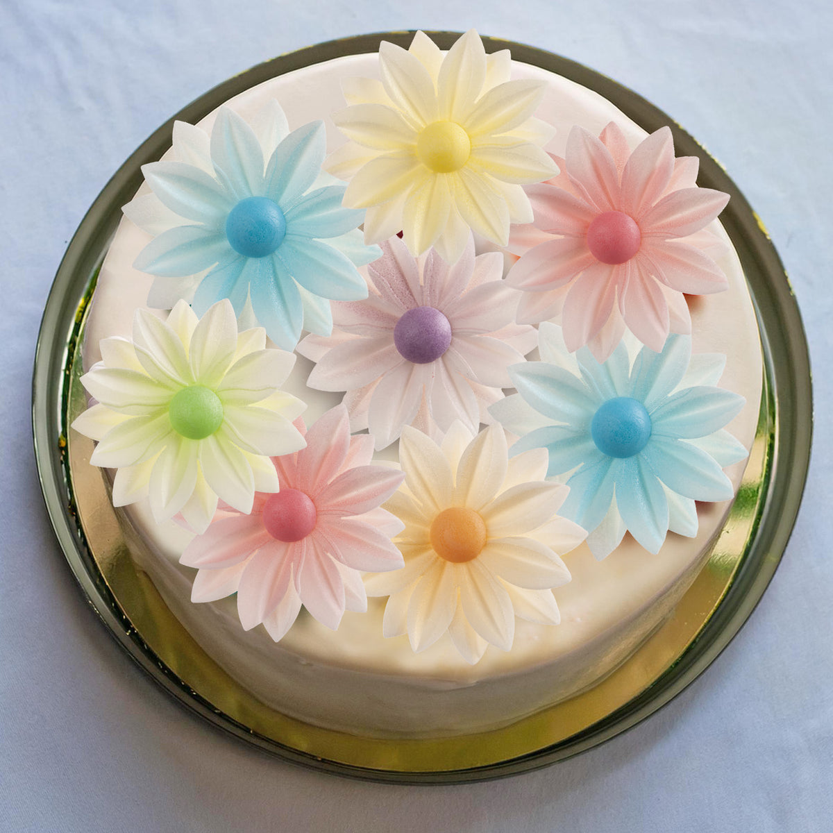 DAISY COULEURS ASSORTIES 7CM