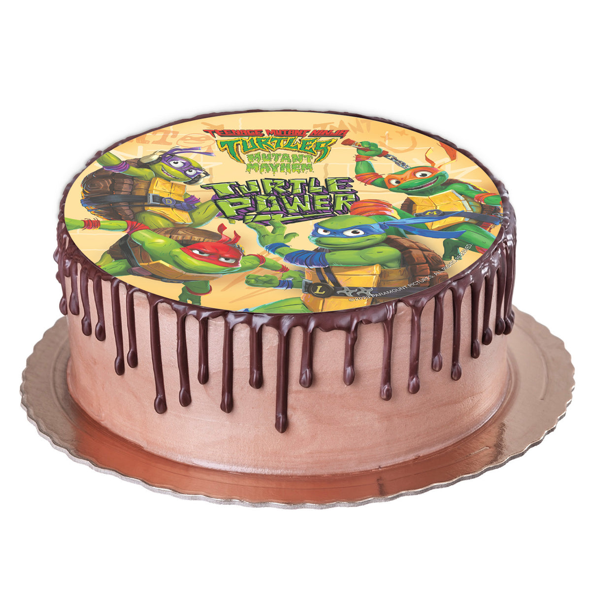DISQUES EN AZYME DÉCO GÂTEAUX TORTUES NINJA 20CM