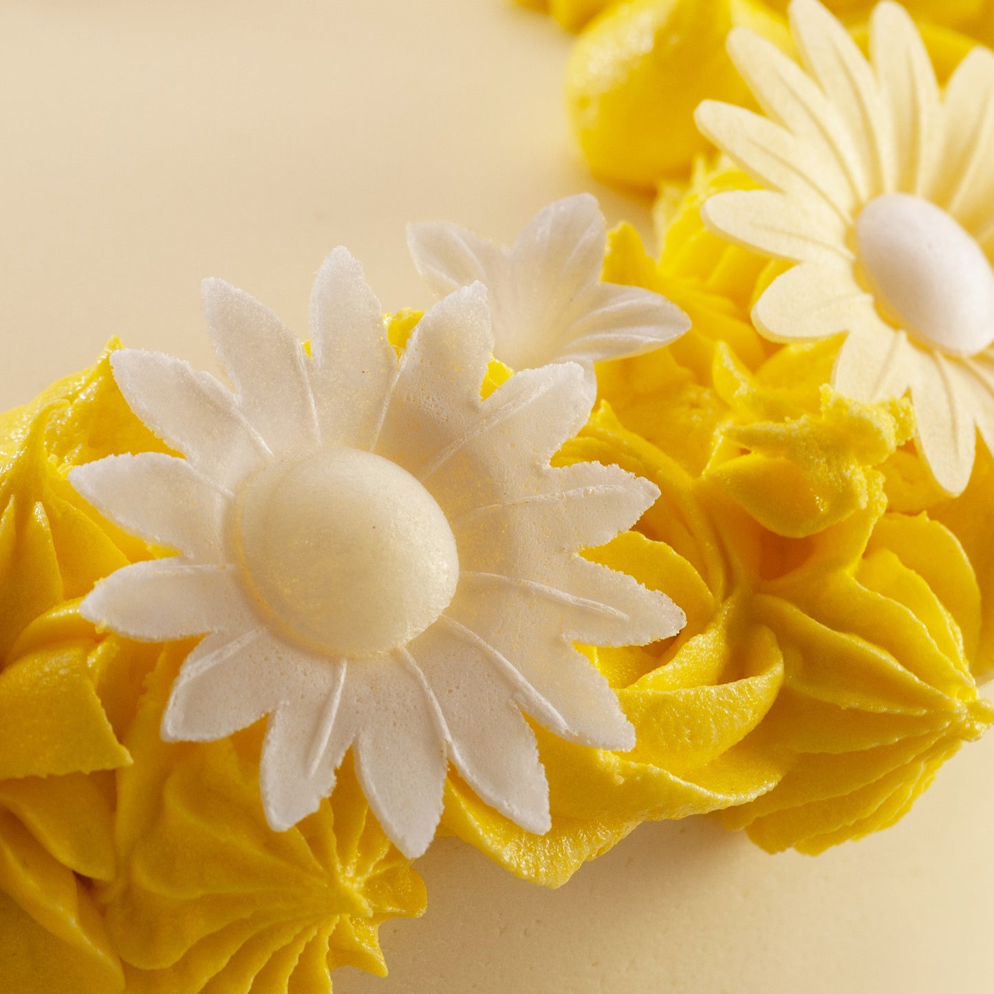 DISPLAY 15 MARGUERITE EN AZYME BLISTER 8UD