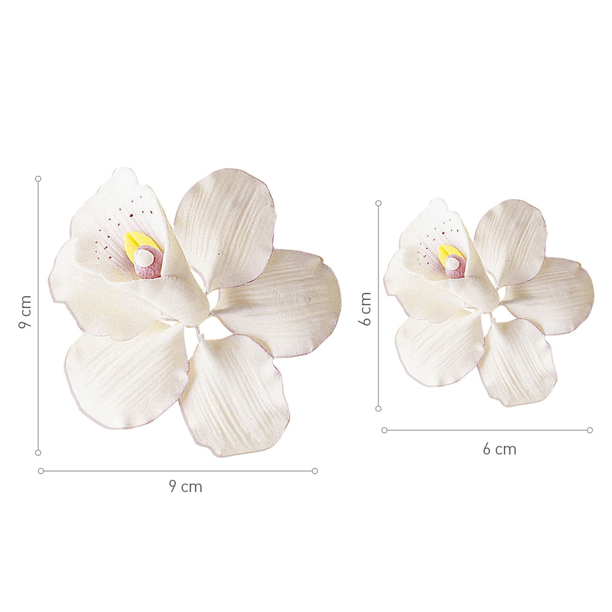 SURTIDO ORQUÍDEAS AZÚCAR 9X9 | 6X6 CM