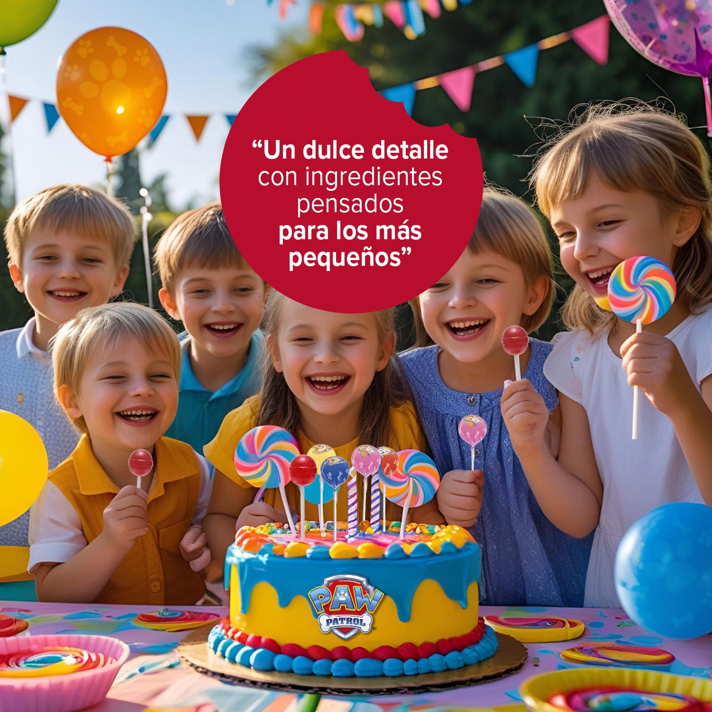 SUCETTES PAW PATROL 12GR