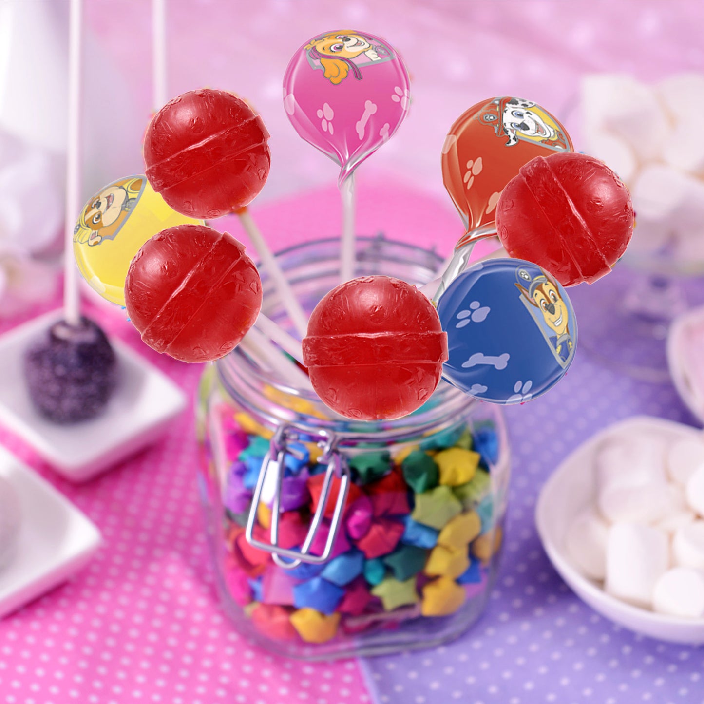 SUCETTES PAW PATROL 12GR