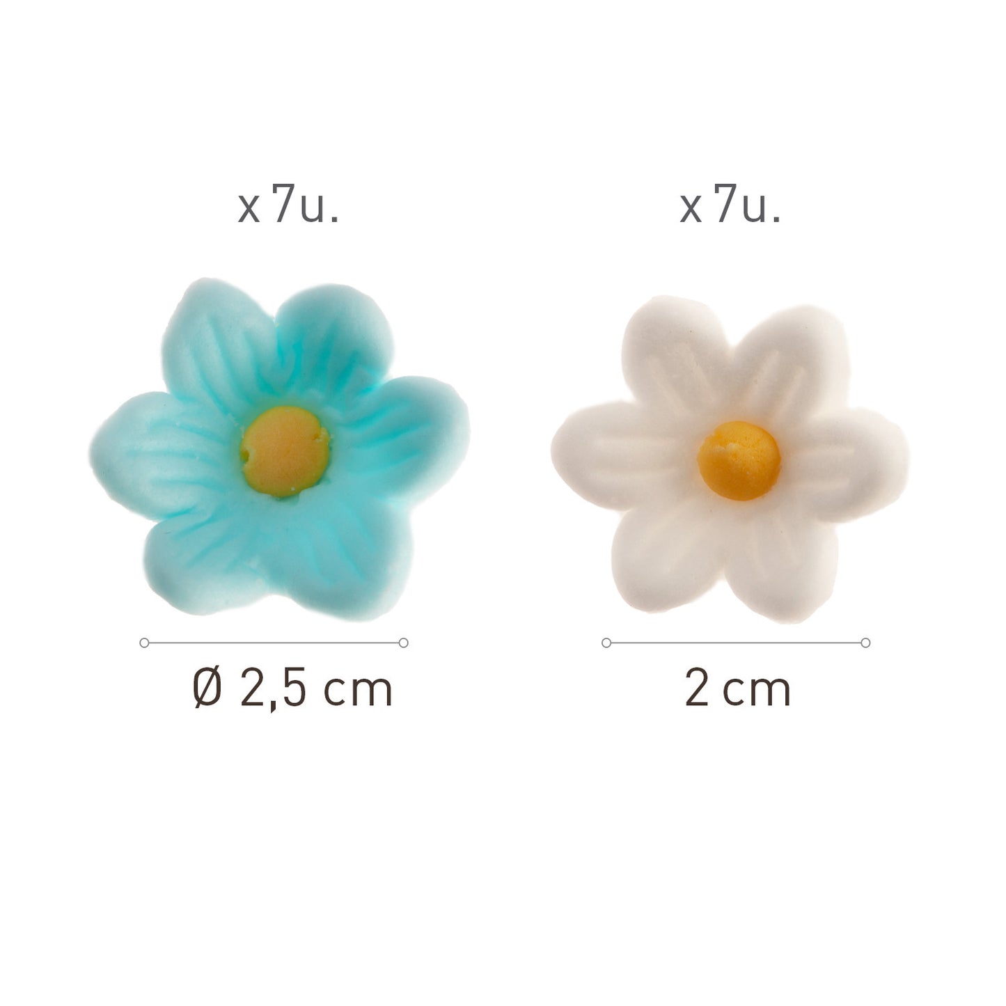 BLISTER SUCRE 7 MARGUERITES BLANCHES ET 7 BLEUES