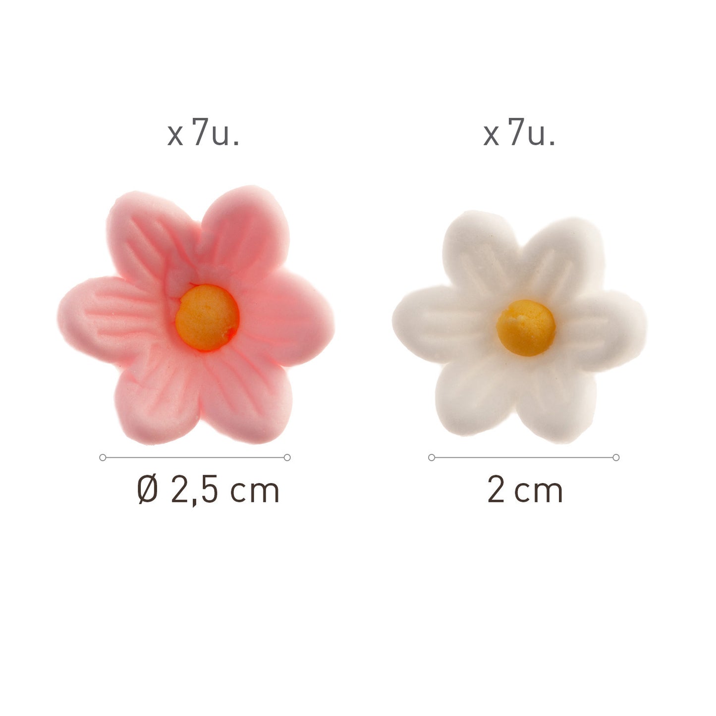 BLISTER SUCRE 7 MARGUERITES BLANCHES ET 7 ROSES