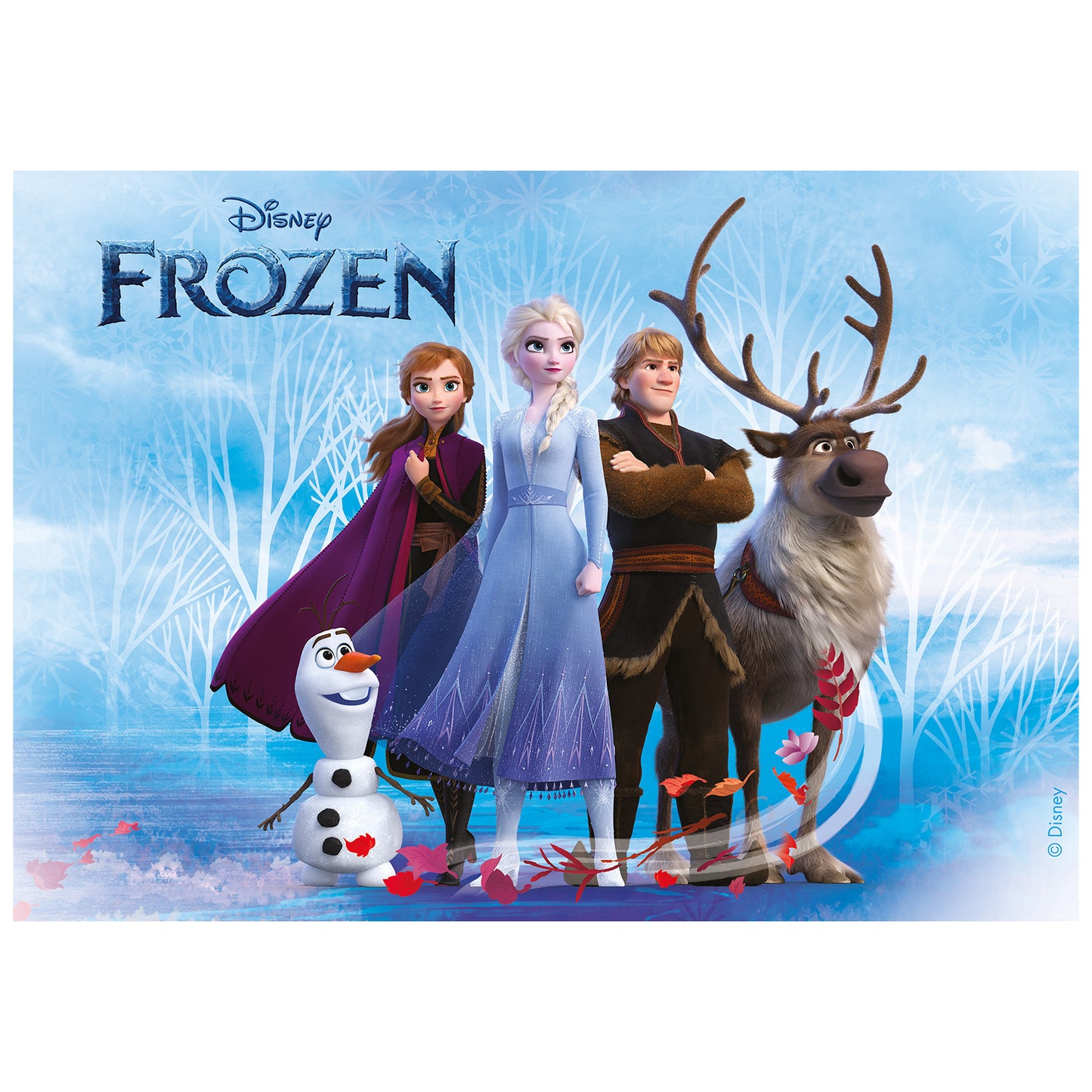 FONDANT DECORAÇÃO BOLO FROZEN A5 14,8X21CM