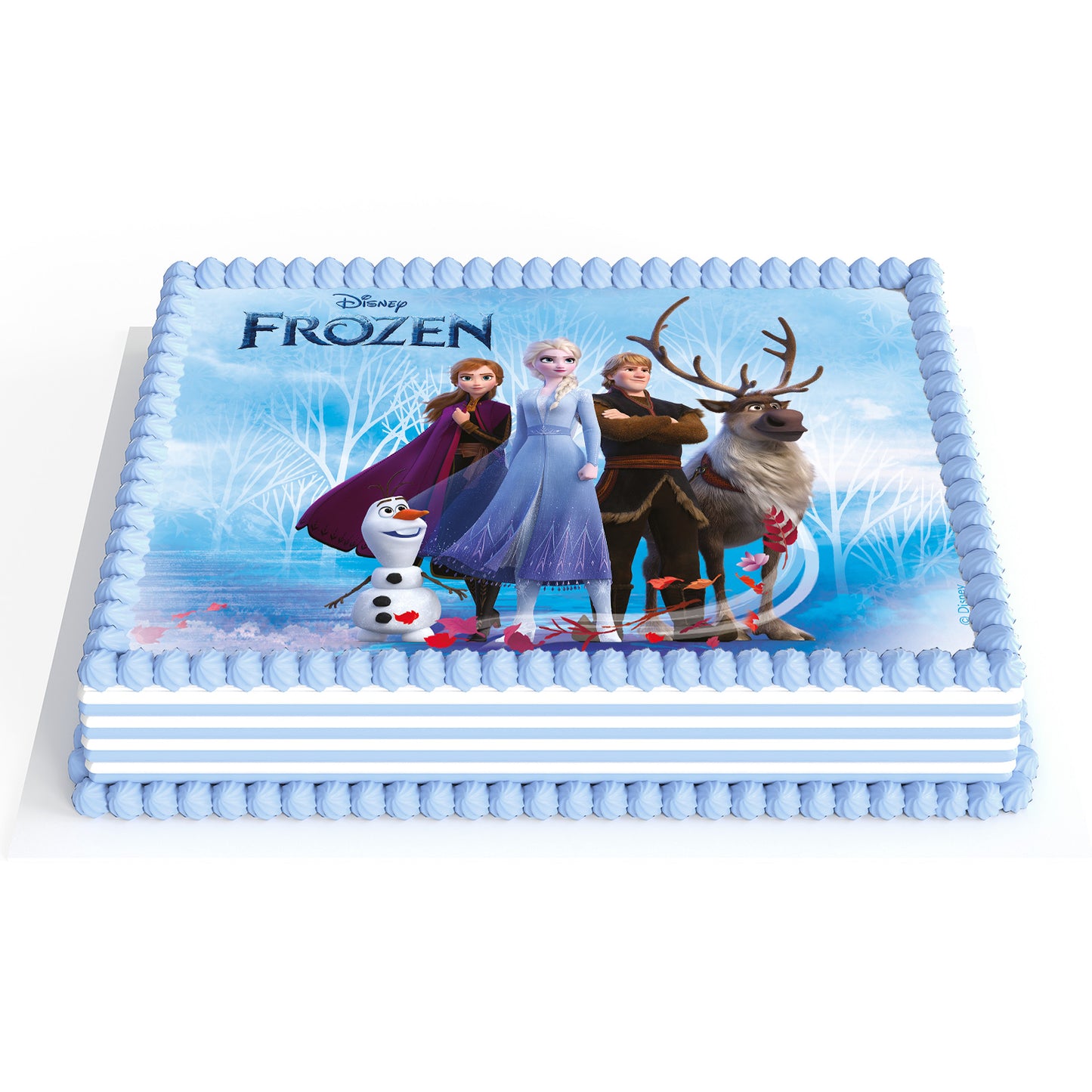 FONDANT DECORAÇÃO BOLO FROZEN A5 14,8X21CM