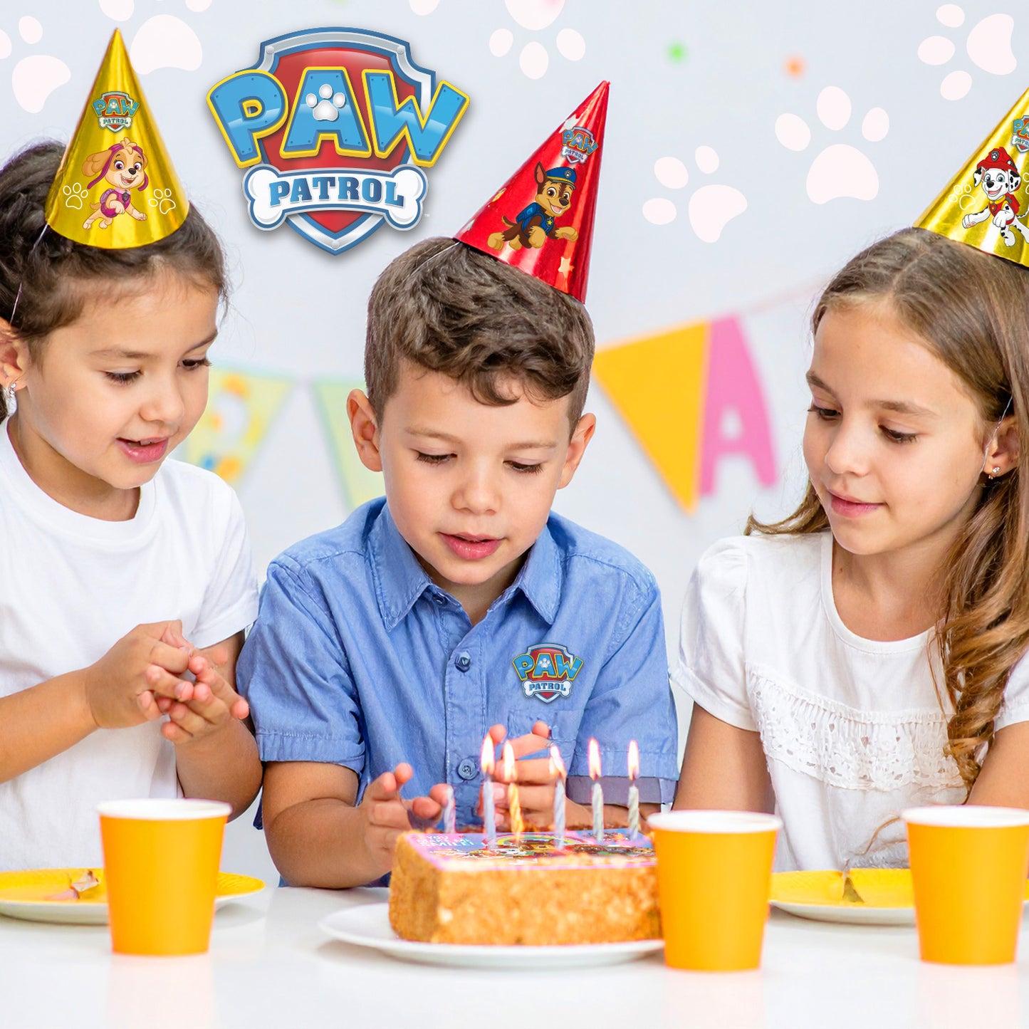 FONDANT DÉCO GATEAU PAT'PATROUILLE A5 14,8X21CM