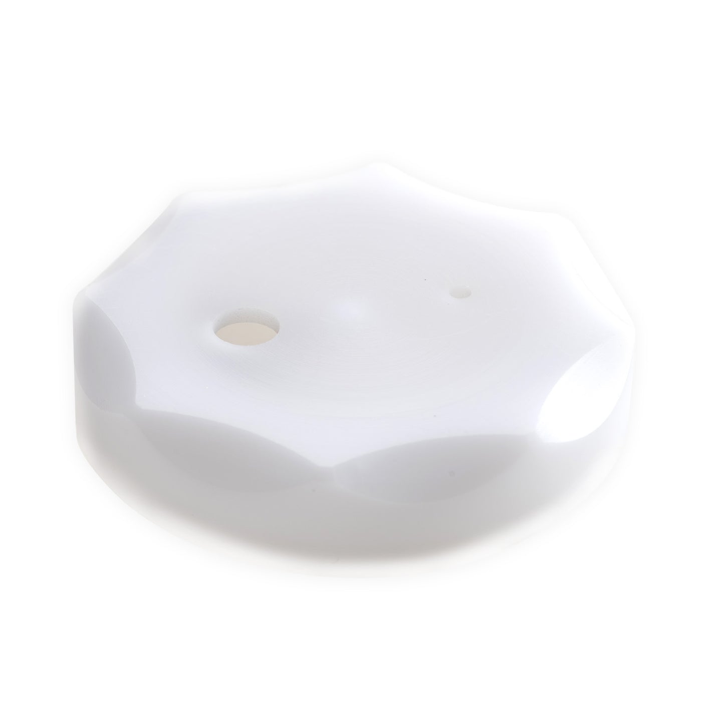 PROFESSIONAL DOSING LID