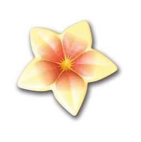FLEUR CHOCOLAT BLANC 3D