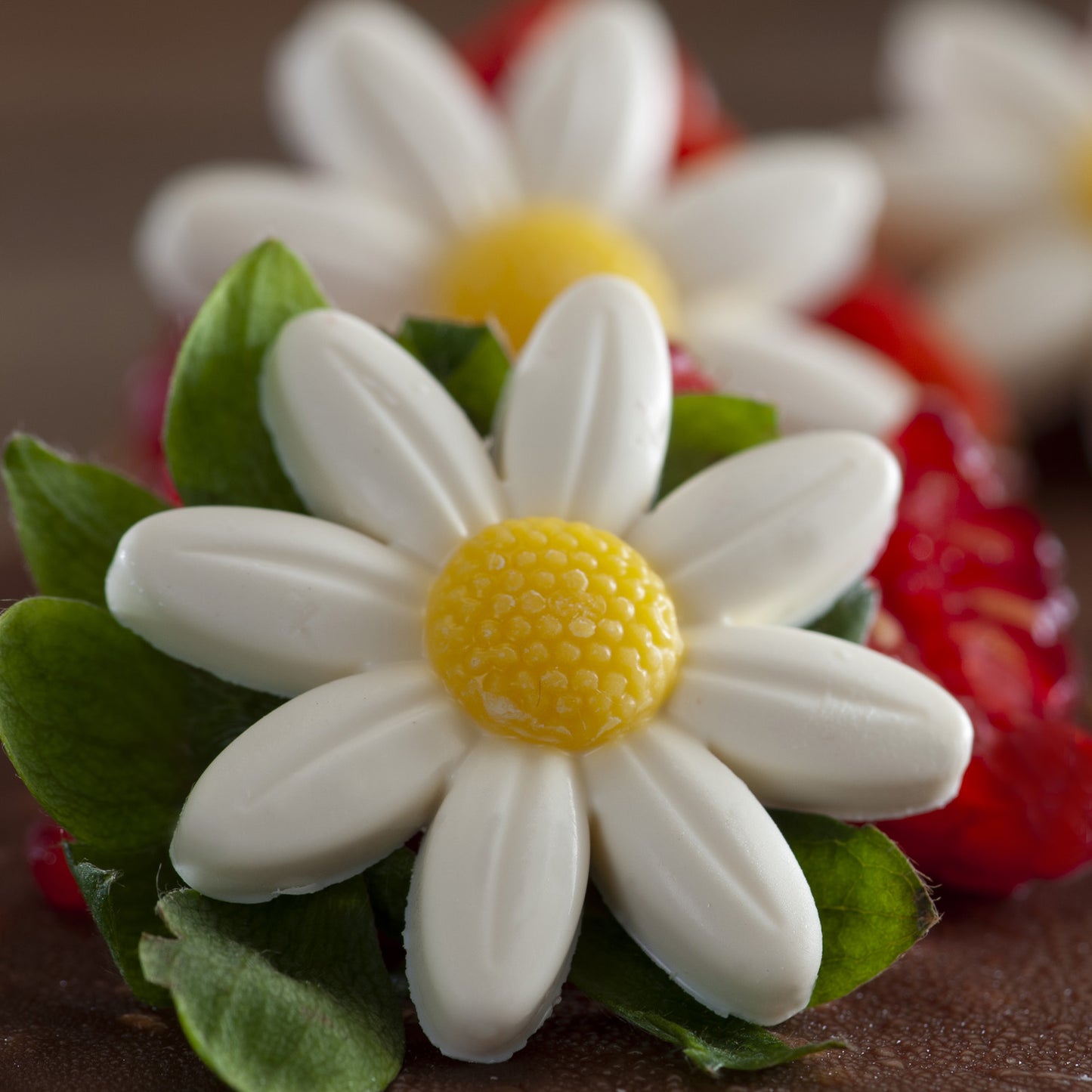 DAISY XL CHOCOLAT BLANC Ø 34MM