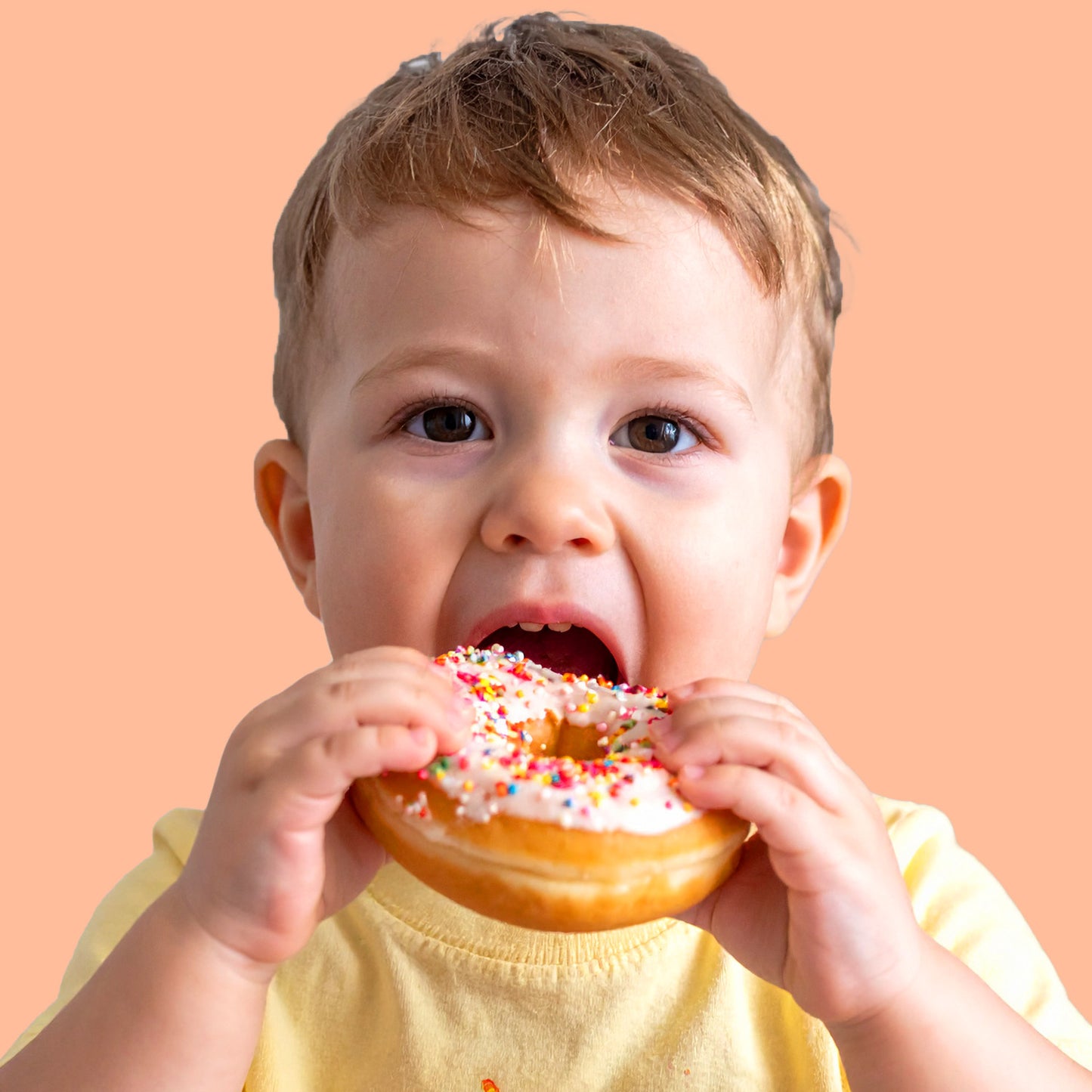 MÉLANGE DE SUCRE GRANIT MANNE 500GR