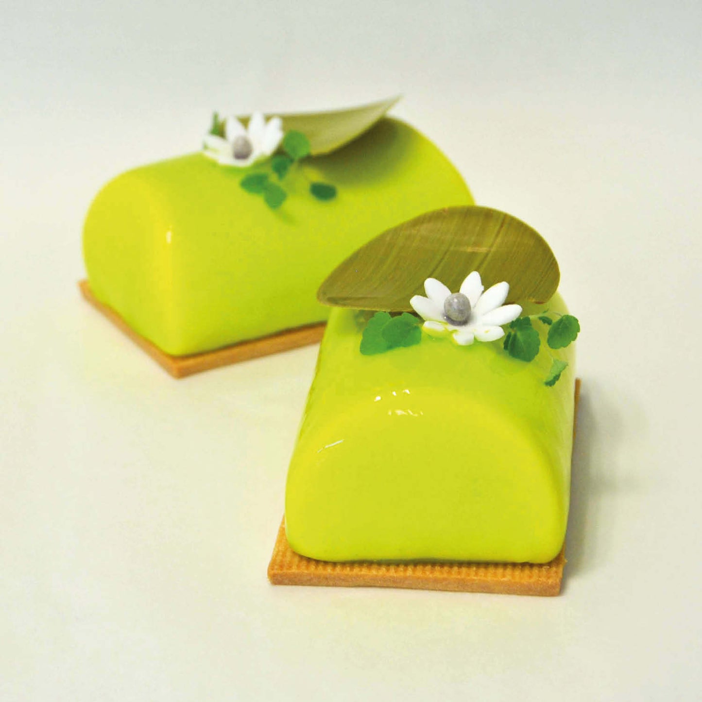 8 MOLDES INSPIRATION FLEXIPAN OUTONO 93X60X40MM 40X30CM