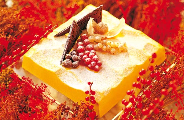 KIT 2 MOLDES PLÁSTICO SEMI FRÍO CUADRADO GRANDE/PEQUEÑO