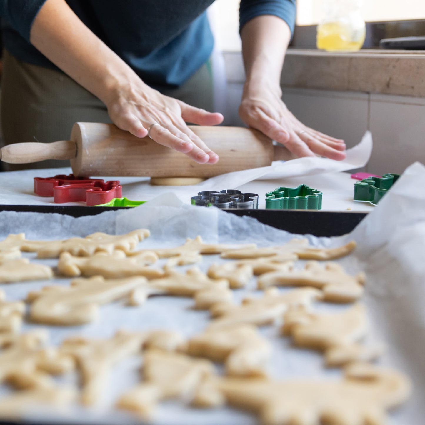 SET 2 CORTADORES DINOSAURIOS