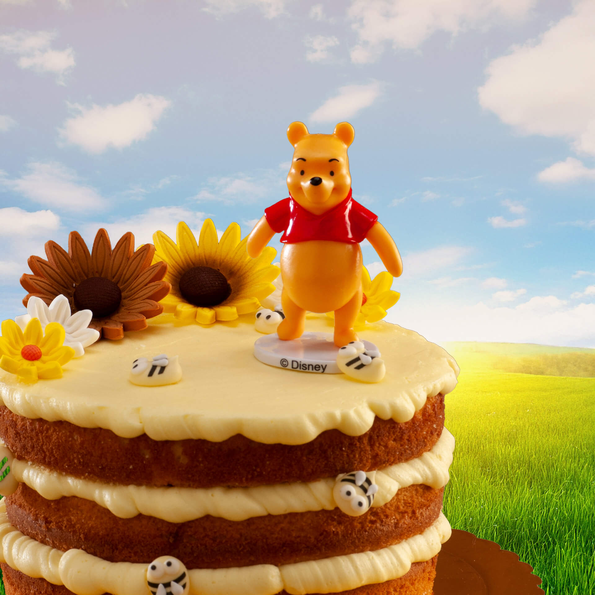 Winnie the Pooh