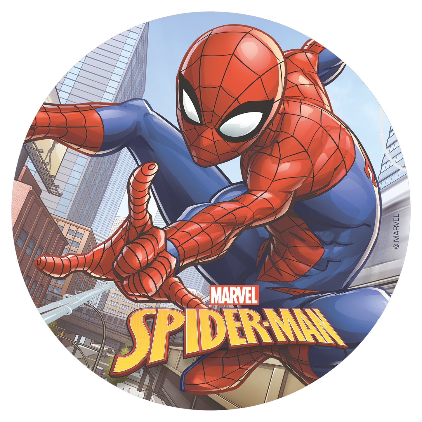 BOX 6 SPIDERMAN WAFER CAKE DECORATING DISC IN FOIL 20 CM