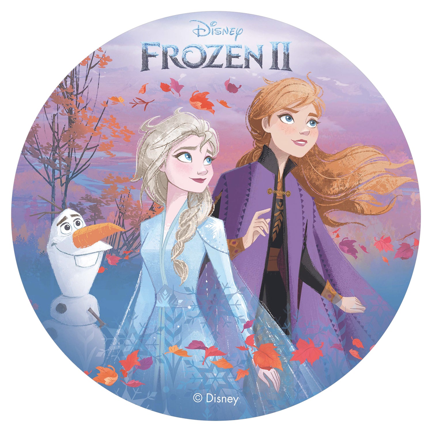 6 DISCOS HÓSTIA PARA DECORAR BOLOS FROZEN II OUTONO 20 CM