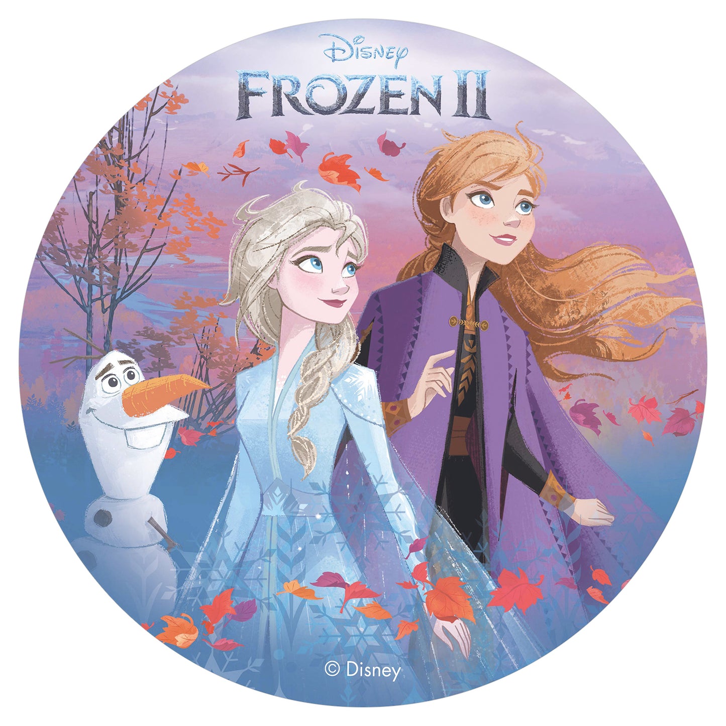 6 DISCOS HÓSTIA PARA DECORAR BOLOS FROZEN II OUTONO 20 CM