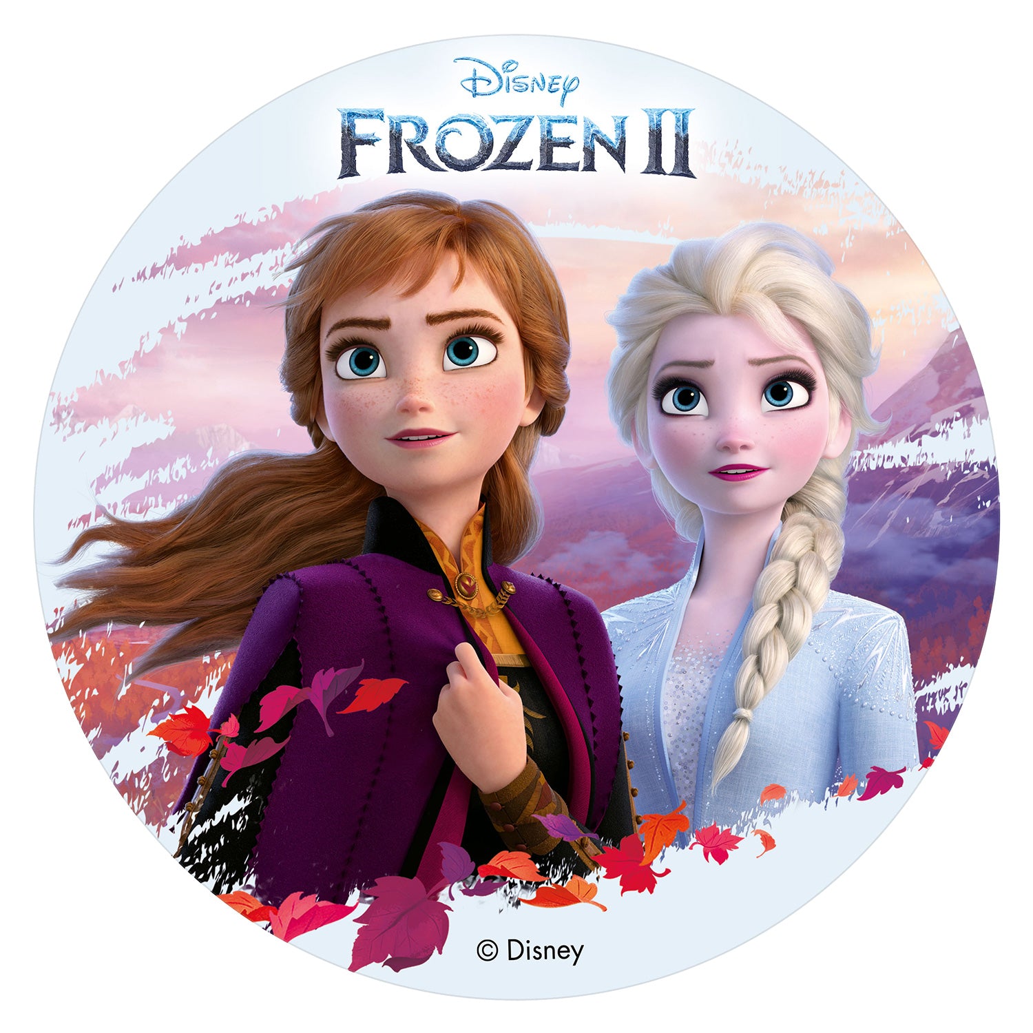 6 FROZEN II CAKE DECORATING WAFER DISCS 20 CM