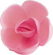 72 ROSA PICCOLA ROSA