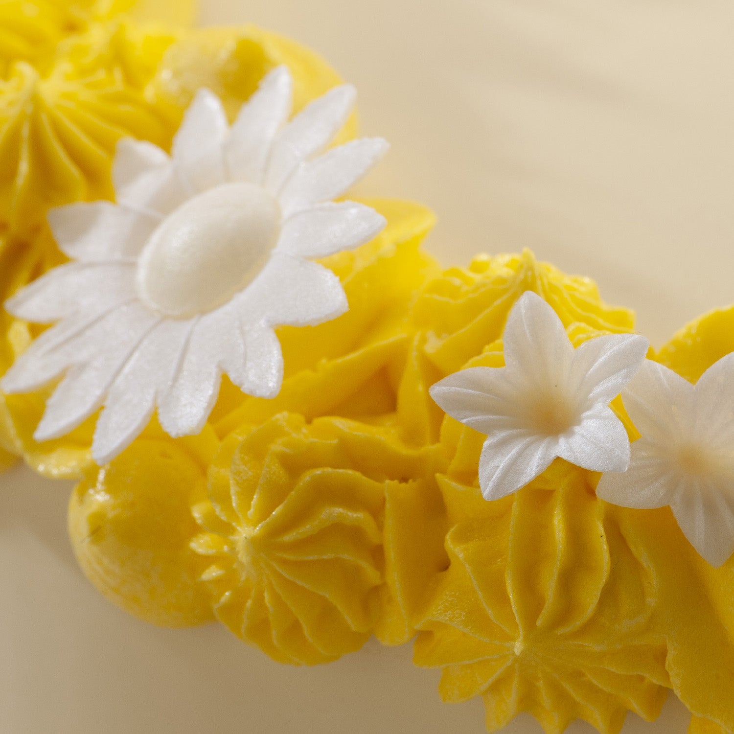 DAISY WAFER FLOWERS 6 COLORS ASSORTED Ø 4,5CM