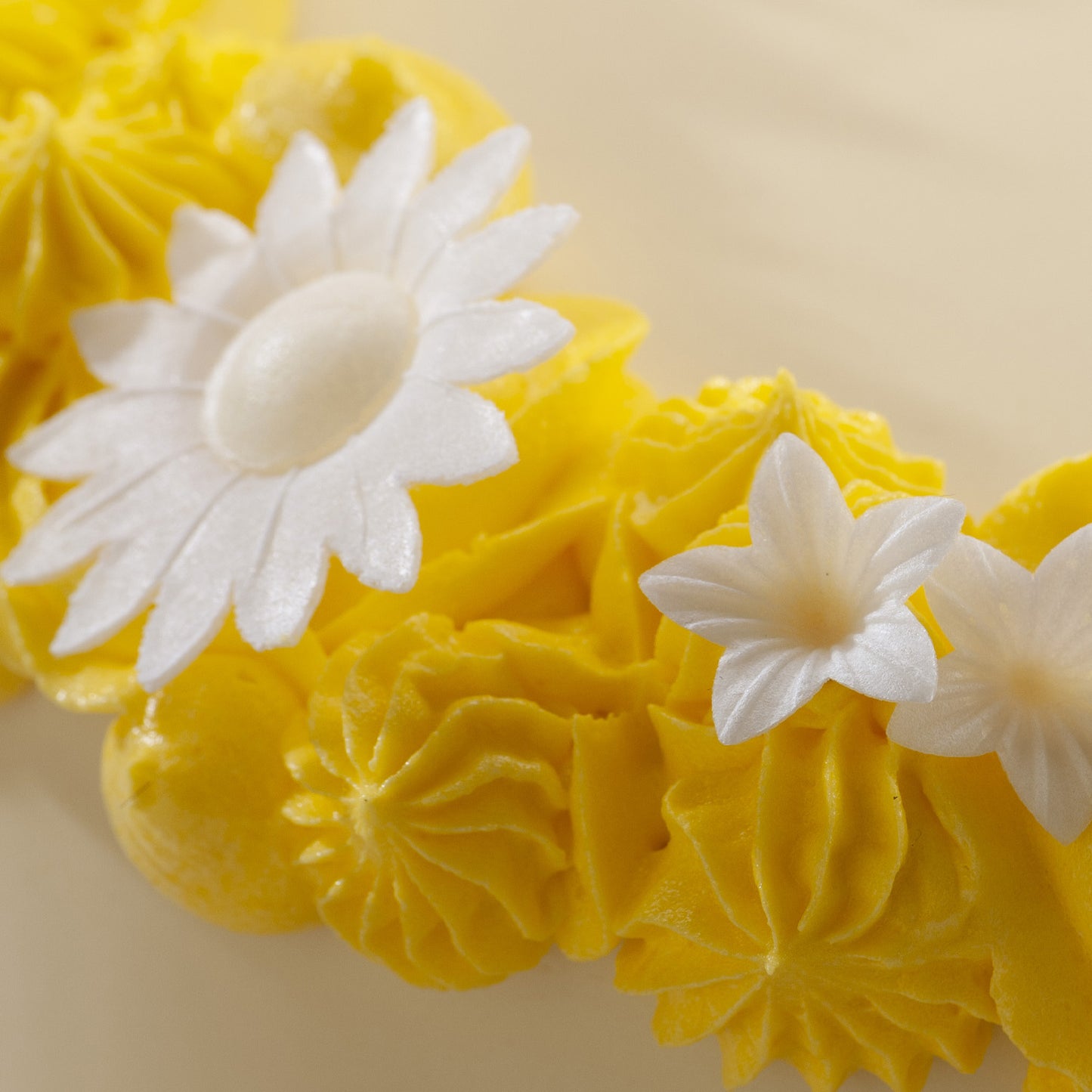 MARGUERITES EN AZYME 6 COULEURS ASSORTIES Ø 4,5CM