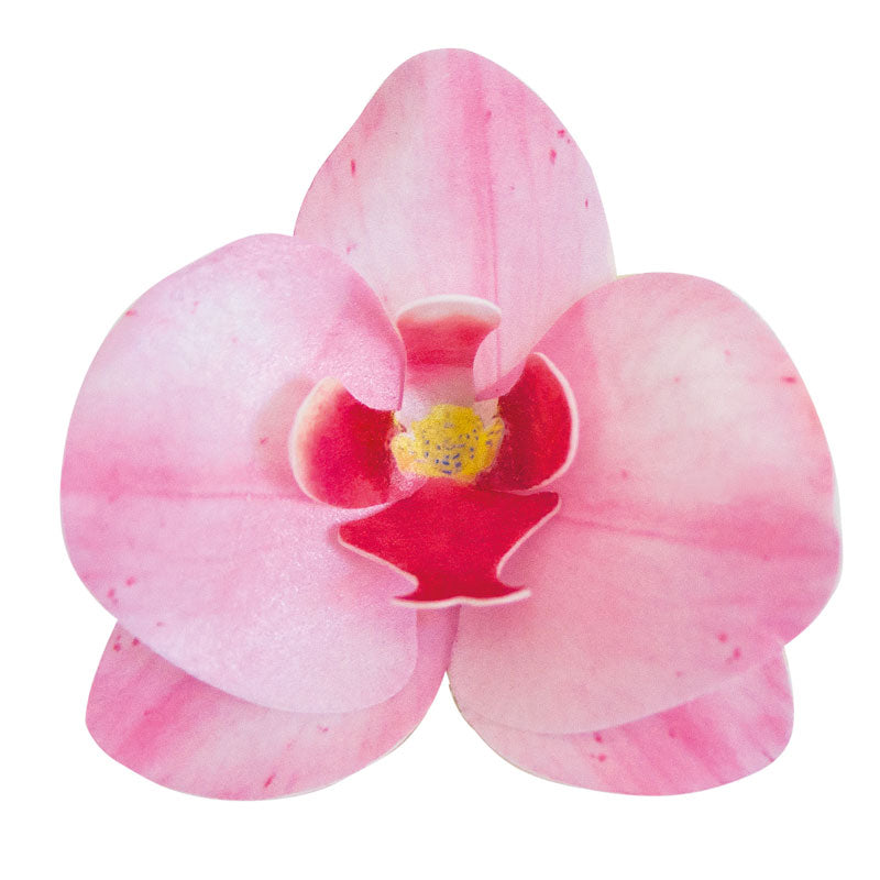 10 ORCHIDEÉS EN AZYME ROSE 8,5 x 7,5 CM