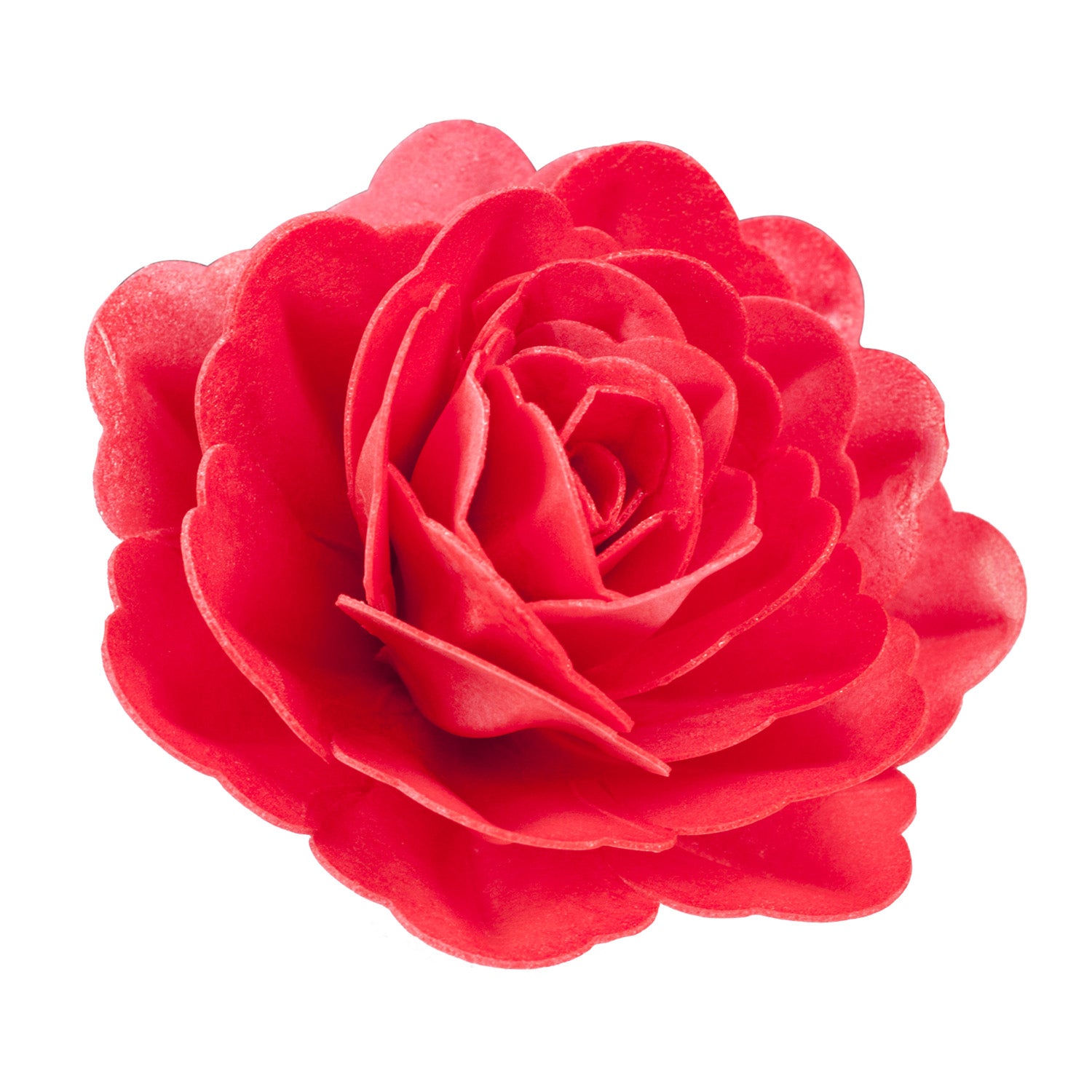ROSA GIGANTE OBREIA COR VERMELHA 12,5 CM