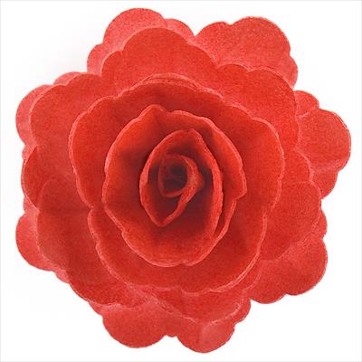 ROSE GEANT AZYME COULEUR ROUGE 12,5 CM