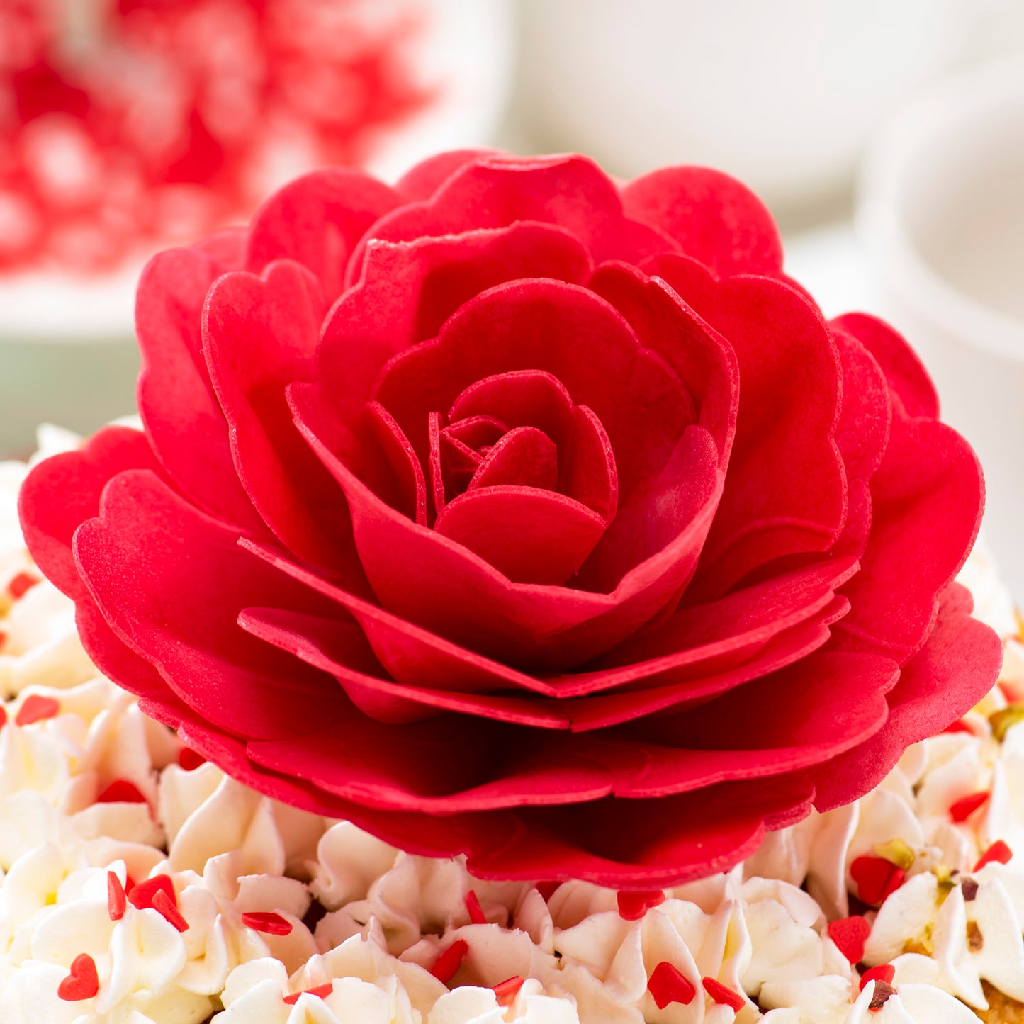 ROSE GEANT AZYME COULEUR ROUGE 12,5 CM