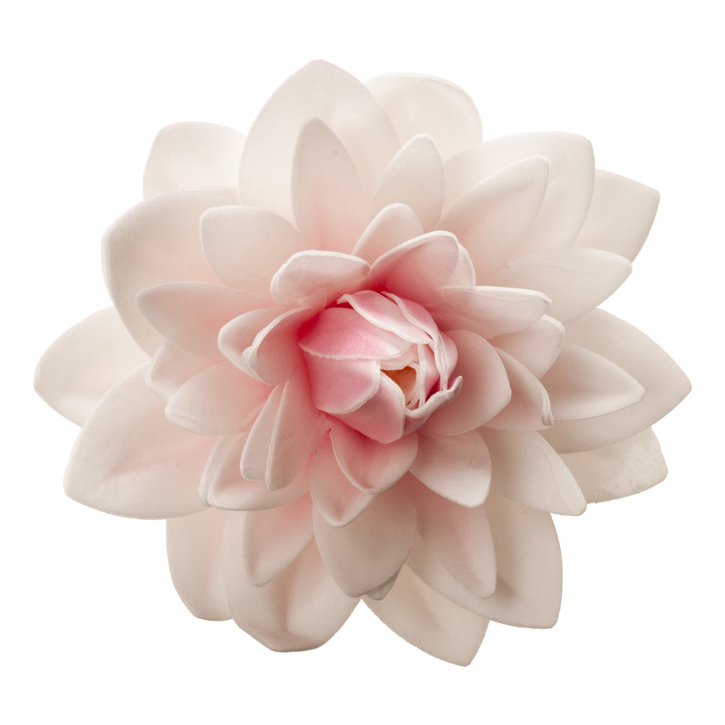 AZYME DALIA GEANT COULEUR ROSA 12,5 CM