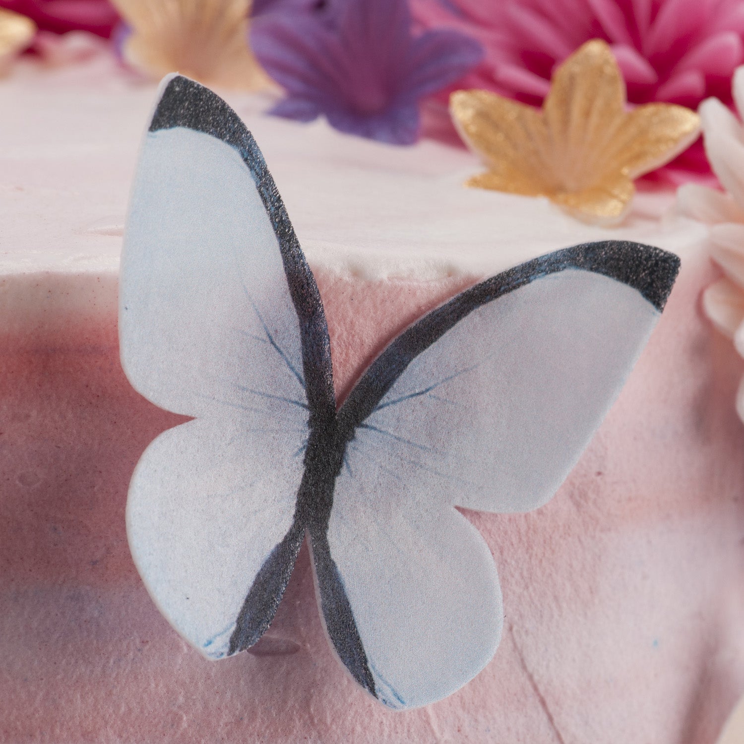 PAPILLONS EN AZYME ASSORTIMENT COULEUR PASTEL 3-6CM