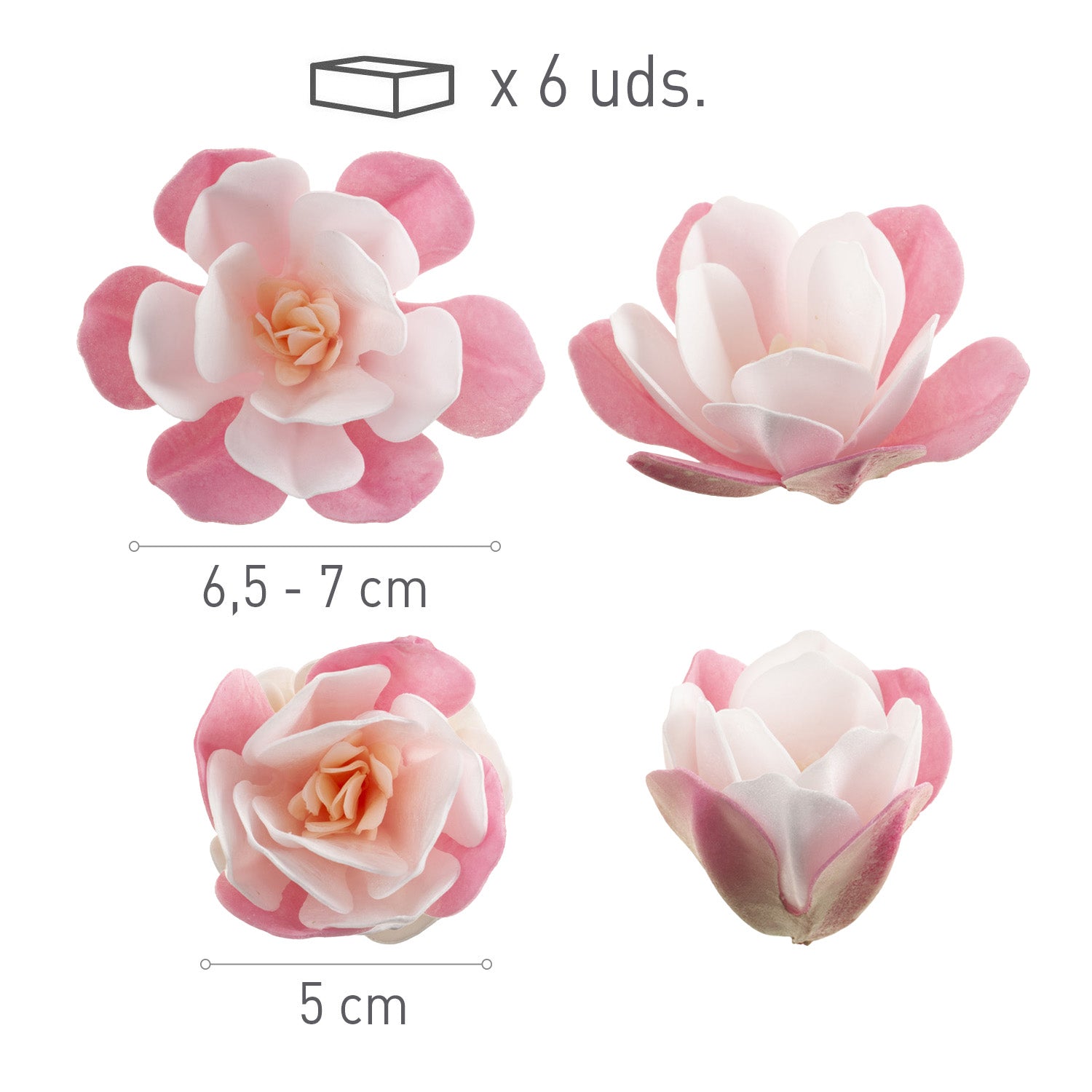 BOX OF 6 PINK WAFER MAGNOLIAS 6.5-7CM