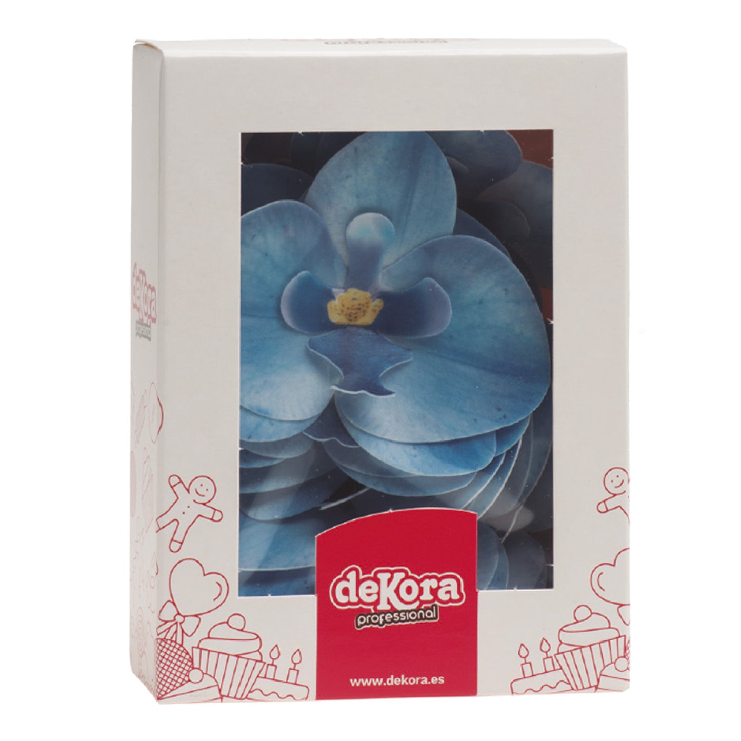 BOX OF 10 BLUE WAFER ORCHIDS 8.5 -7.5CM