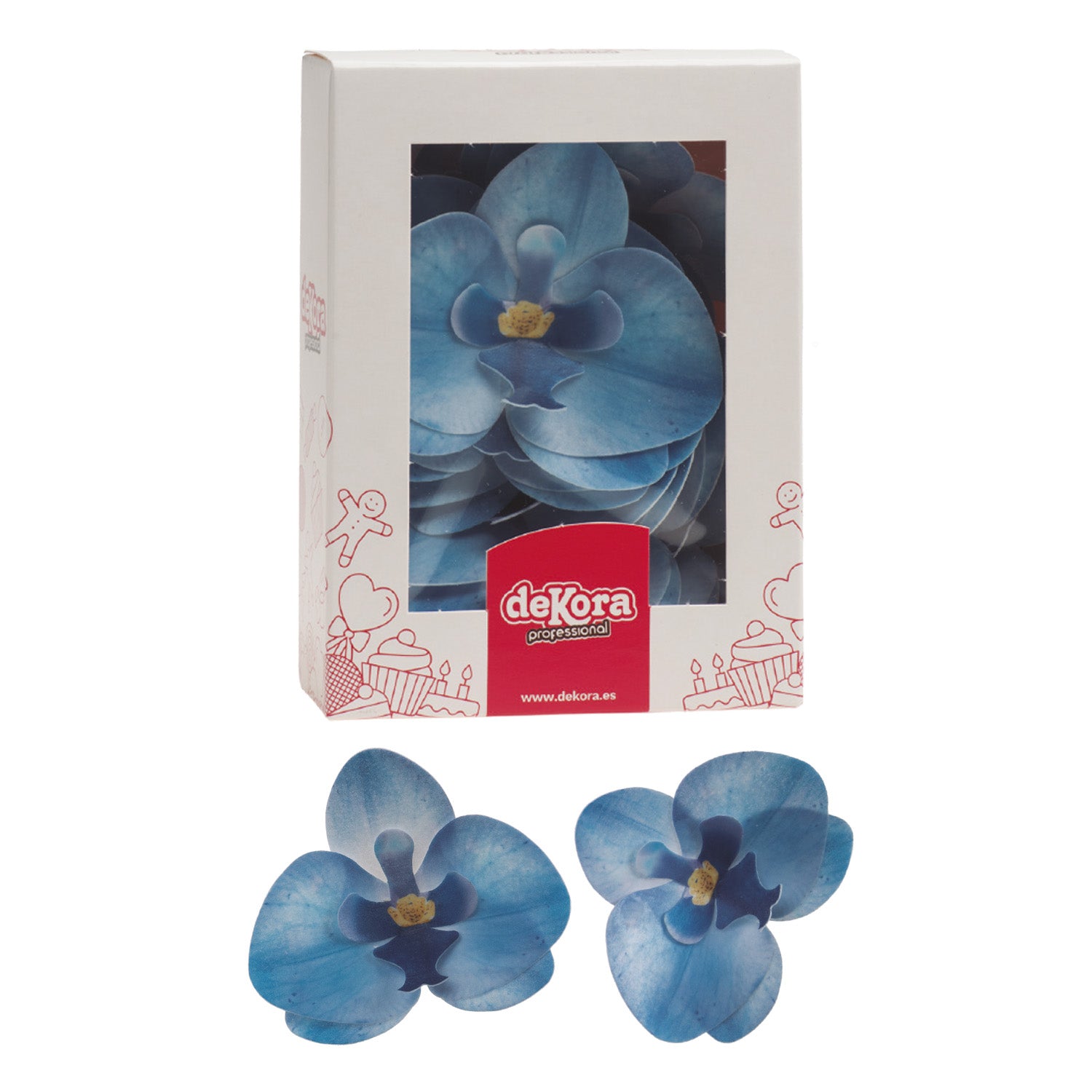 BOX OF 10 BLUE WAFER ORCHIDS 8.5 -7.5CM