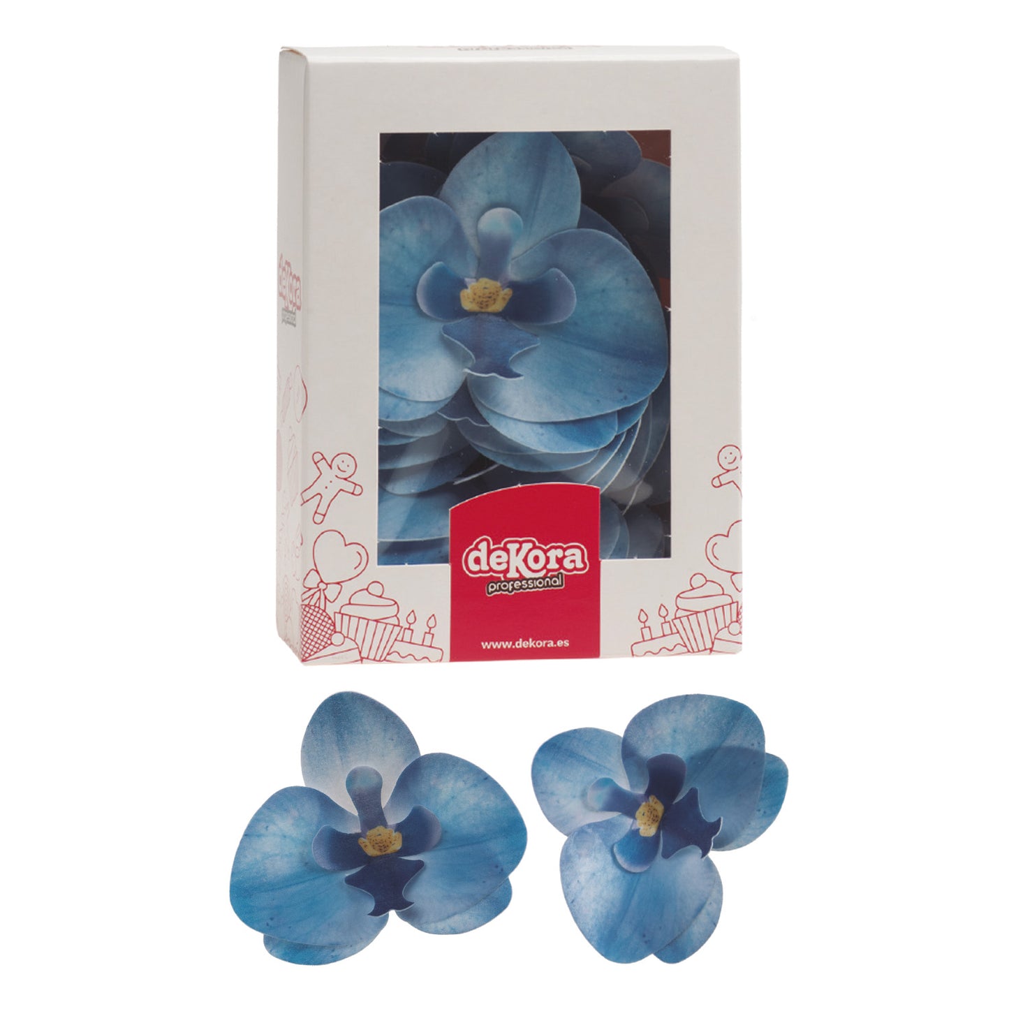 BOX OF 10 BLUE WAFER ORCHIDS 8.5 -7.5CM