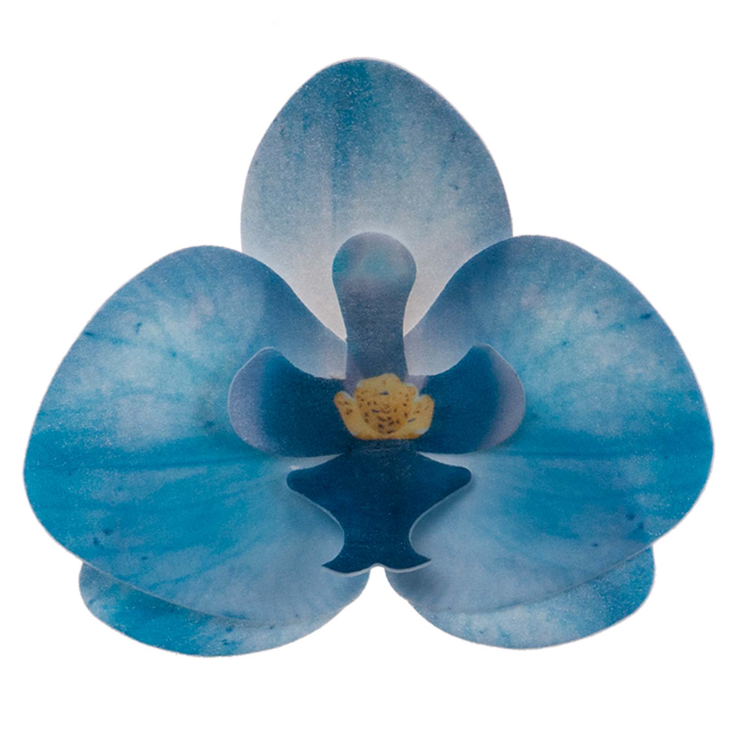 SCATOLA DA 10 ORCHIDEE IN WAFER BLU 8.5 -7.5CM