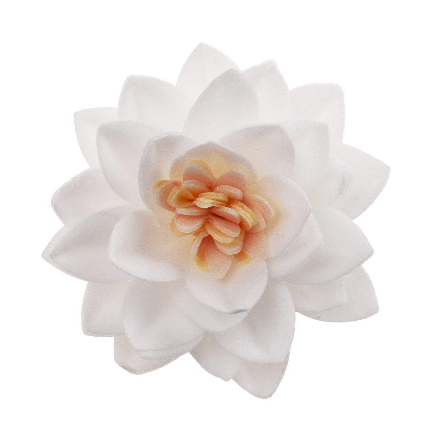 CAIXA DE 15 FLORES DE LÓTUS WAFER BRANCA Ø 7CM