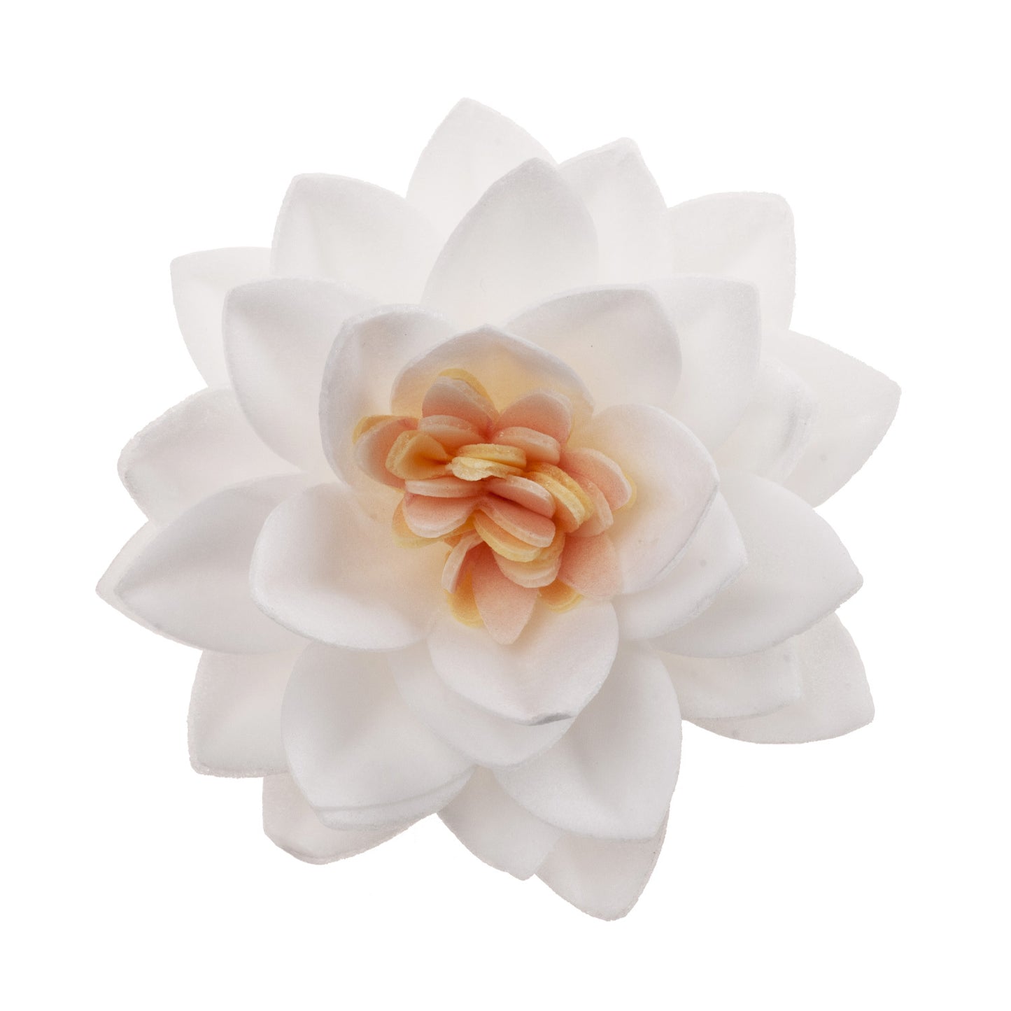 CAIXA DE 15 FLORES DE LÓTUS WAFER BRANCA Ø 7CM