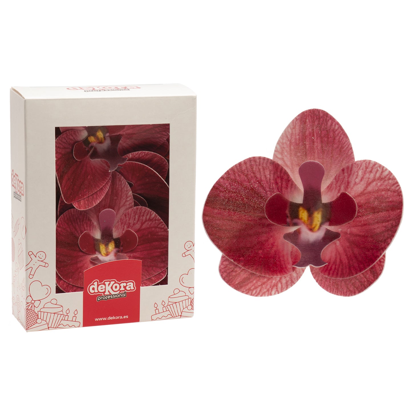 BOX OF 10 BURGUNDY WAFER ORCHIDS 8.5-7.5CM