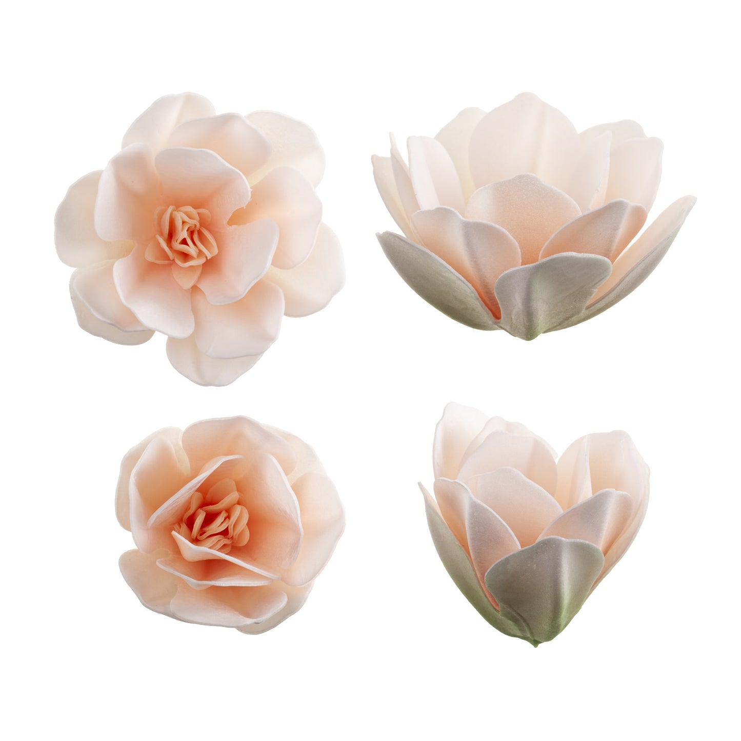 BOX OF 6 WHITE WAFER MAGNOLIAS 6.5-7CM