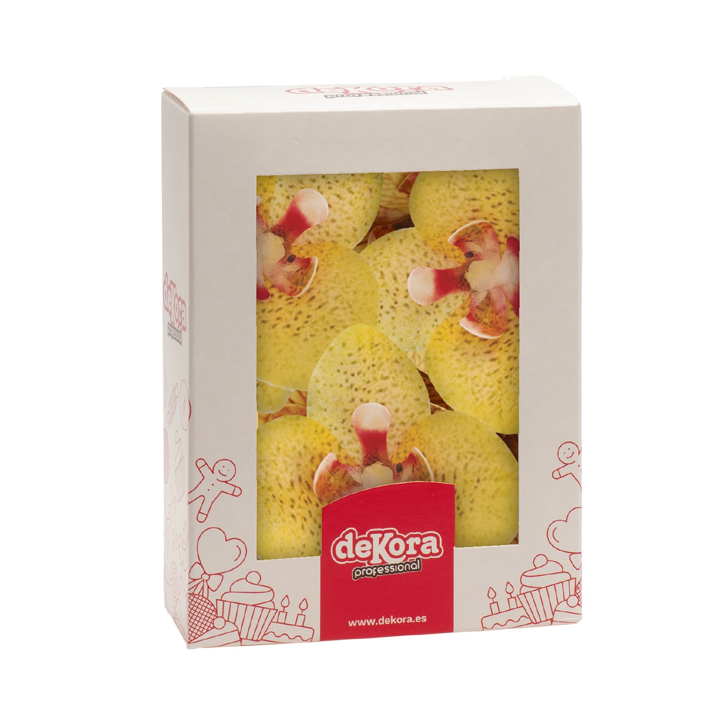 BOX OF 10 YELLOW WAFER ORCHIDS 8.5-7.5CM