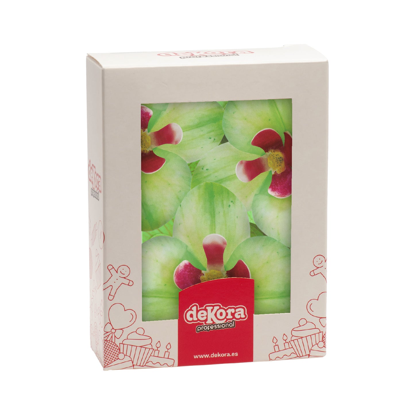 BOX OF 10 GREEN WAFER ORCHIDS 8.5-7.5CM
