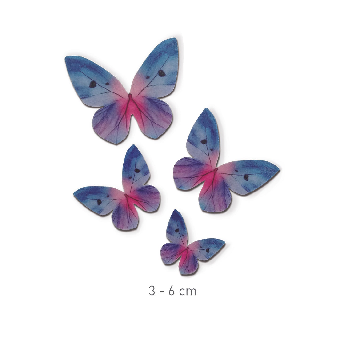 PAPILLONS AZYME TONS BLEUS 3-6CM