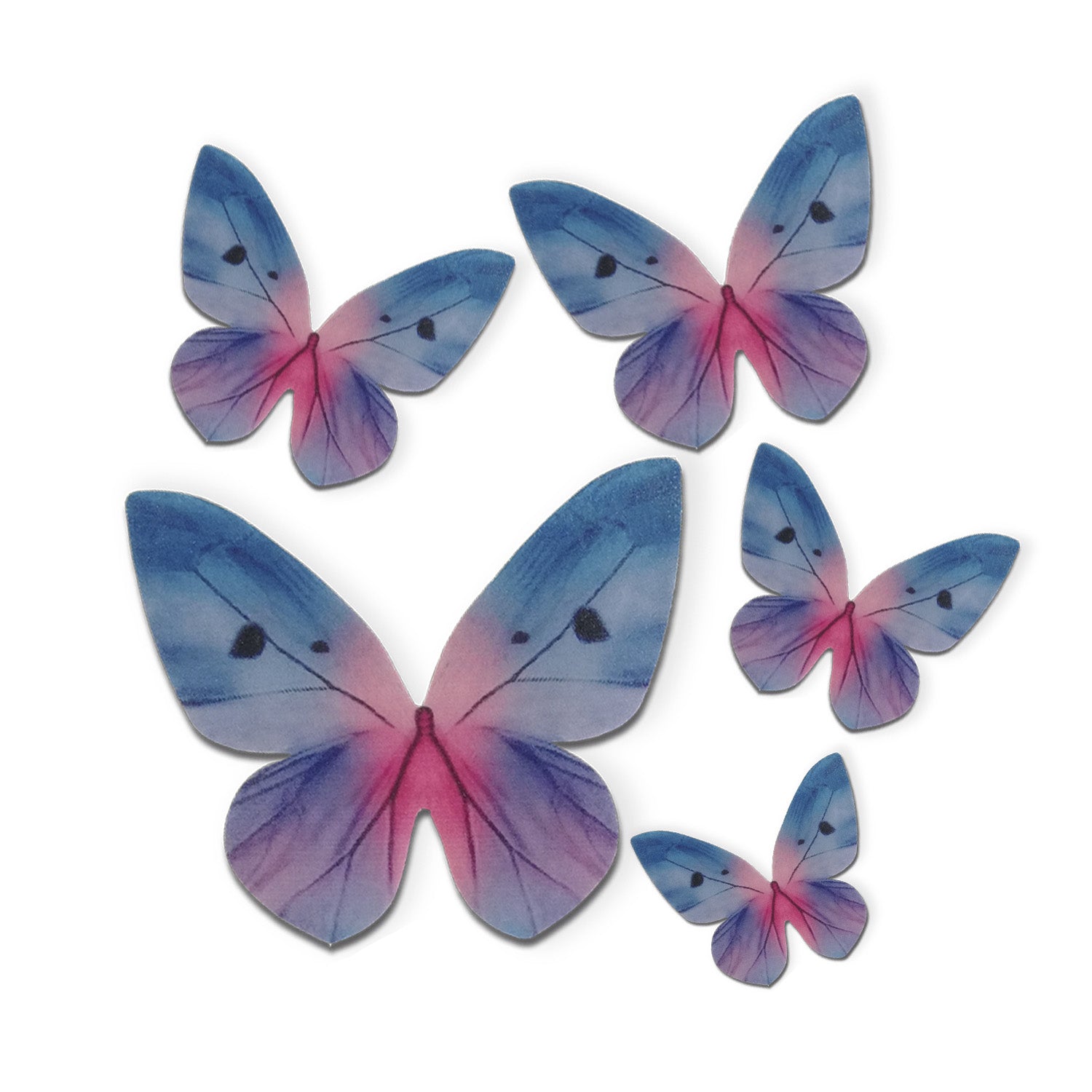 BORBOLETA OBREIA TONS AZUIS 3-6CM