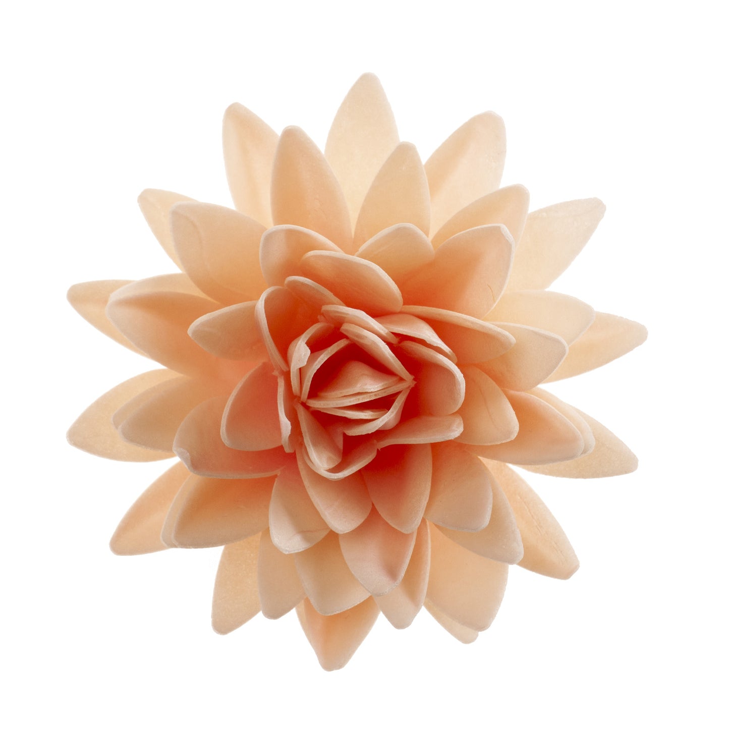 FIORE AUTUNNO IN CIALDA GIGANTE COLORE PASTELLO Ø 12.5CM