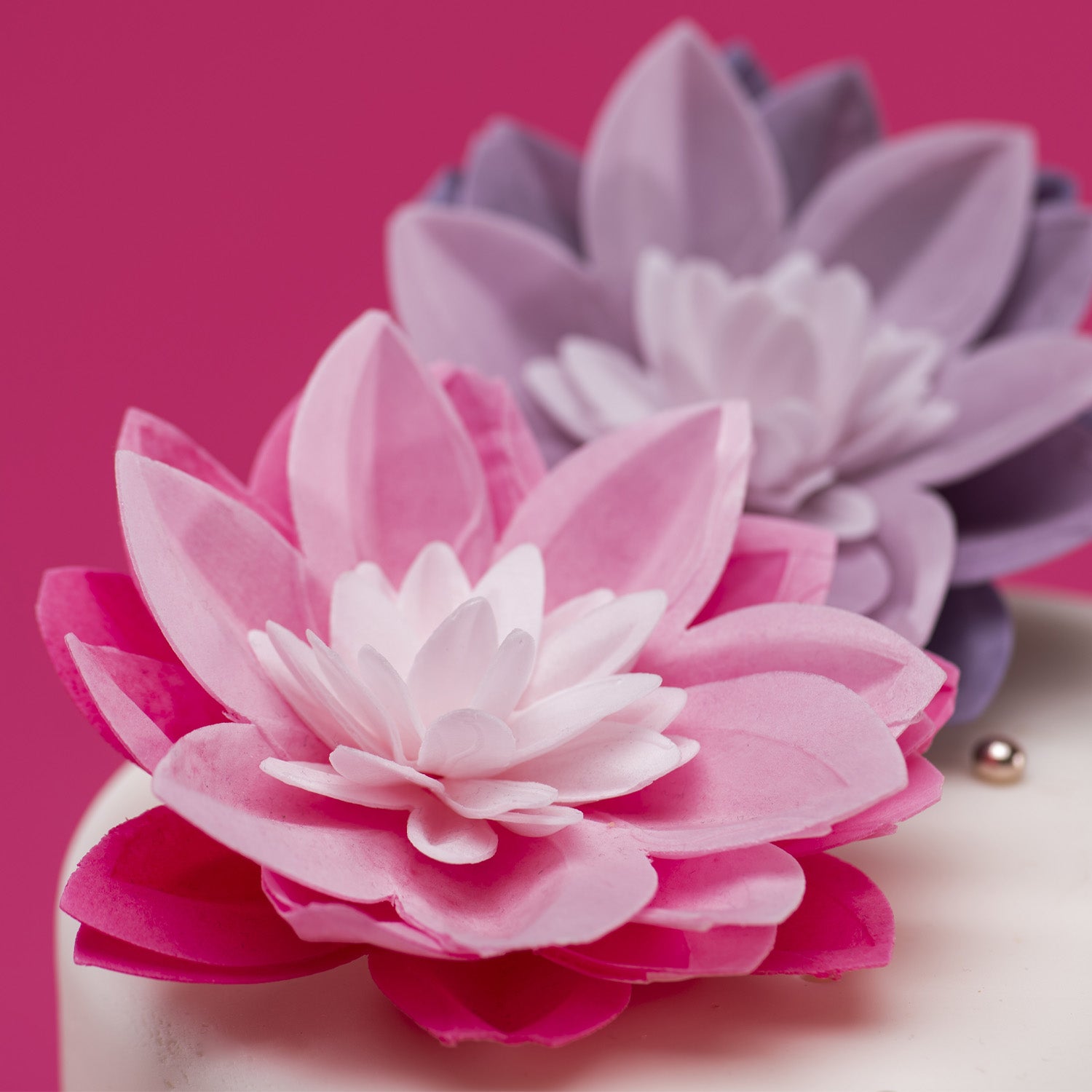 GAUFRE NÉNUPHAR COULEUR ROSE 14CM
