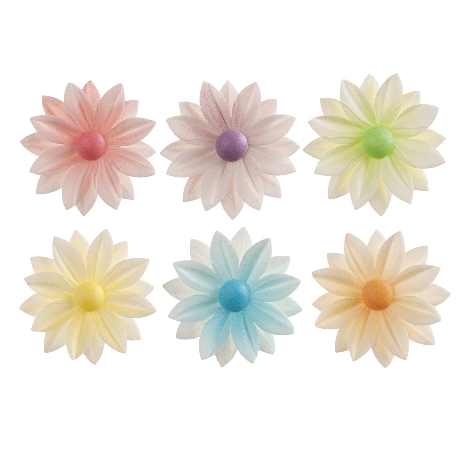  DAISY ASSORTED COLOURS 7CM